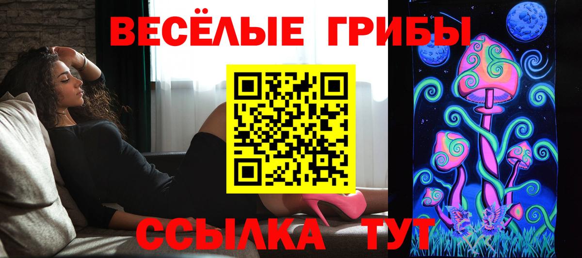 Галлюциногенные грибы Psilocybe  Галлюциногенные грибы прущие грибы  Вход с VPN  Октябрьский 