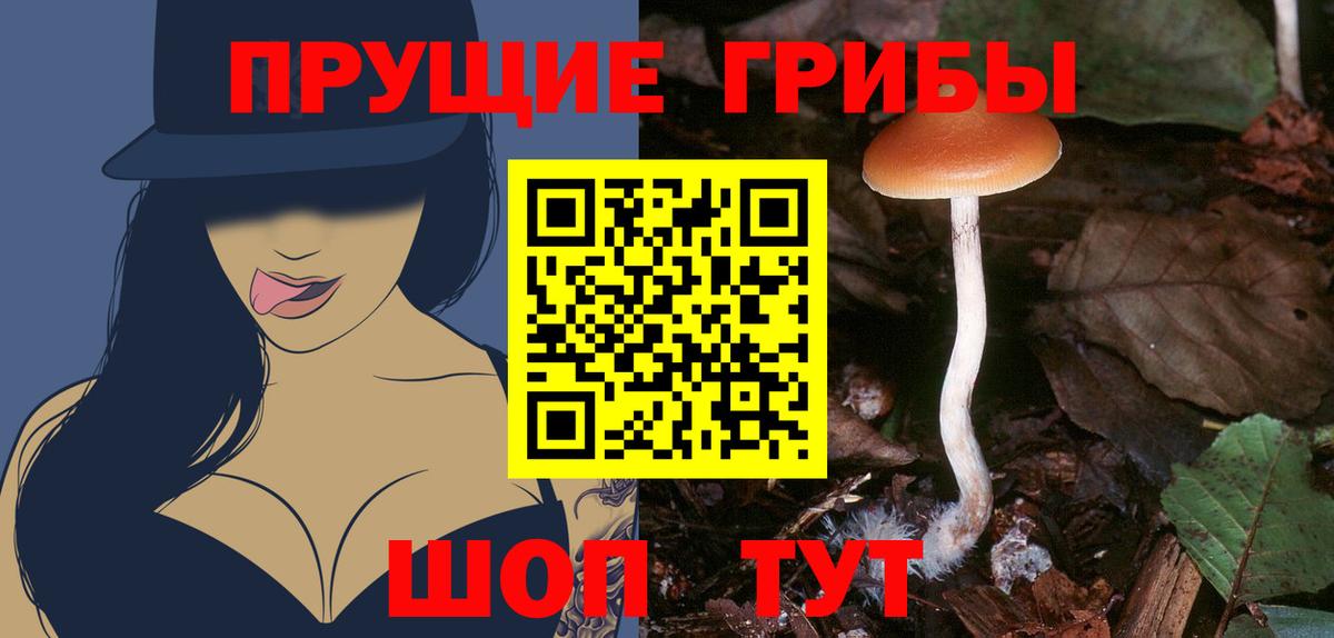 Галлюциногенные грибы мицелий Октябрьский
